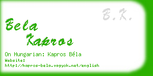 bela kapros business card